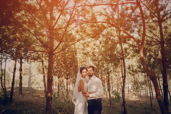 Casamento casal apaixonado ao ar livre — Fotografia de Stock