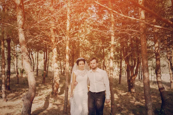 Svatební pár v lásce venku — Stock fotografie
