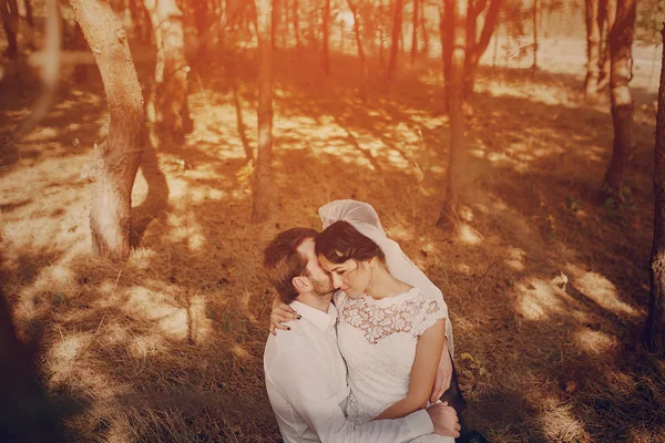 Pareja de boda enamorada al aire libre — Foto de Stock