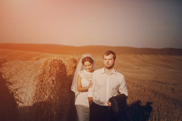Счастливая свадебная пара в поле — стоковое фото