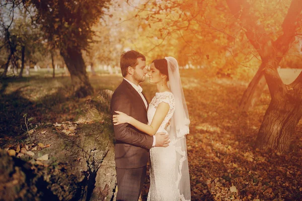 Свадебная пара влюблена на открытом воздухе — стоковое фото