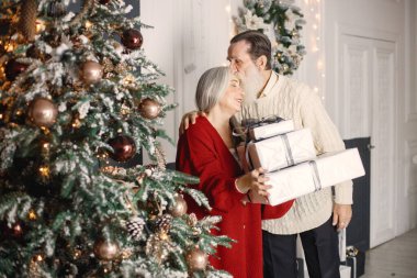 Son sınıf öğrencisi, güzel Noel ağacının yanında karısıyla Noel 'i kutluyor. Gri saçlı ve elinde hediyelerle karısının yanında duran yaşlı sakallı adam. Beyaz kazak giyen adam ve kırmızı giyen kadın..