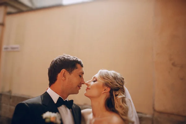 Pareja de boda enamorada — Foto de Stock