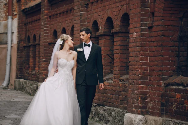 Pareja de boda enamorada —  Fotos de Stock