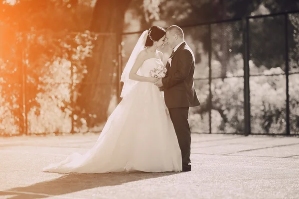 Pareja de boda — Foto de Stock