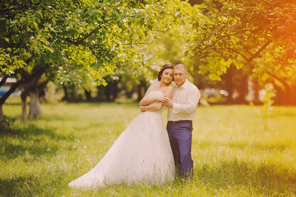 Pareja de boda — Foto de Stock