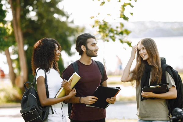 Group of international students standing together in park at university. African and caucasian girls and indian boy talking outdoors. Three friends disscussing about education.