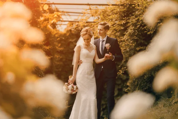 Lindo casal loiro — Fotografia de Stock