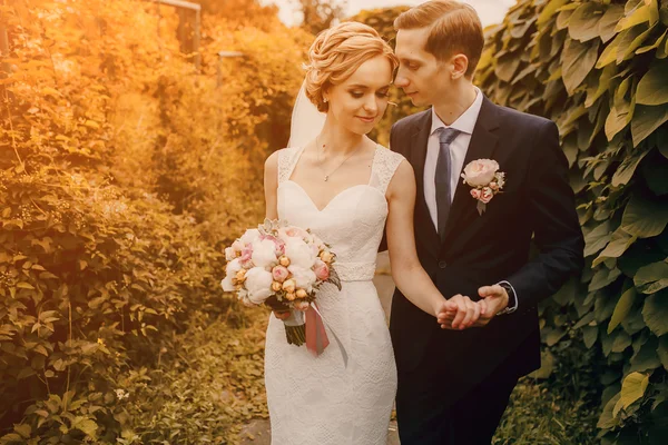 stock image beautiful blond couple