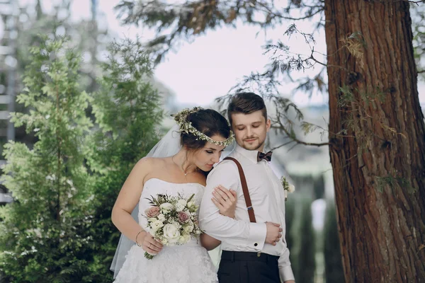 Pareja de boda HD — Foto de Stock