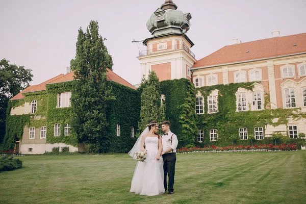 Dzień weddig Hd — Zdjęcie stockowe