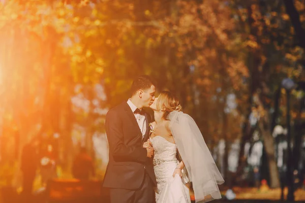 Sommerhochzeit — Stockfoto