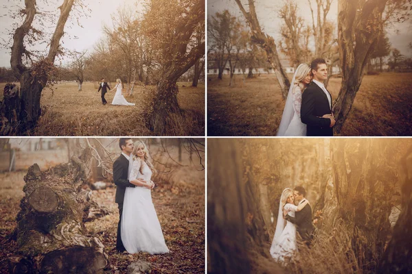 Nevěsta v golden podzimní přírody — Stock fotografie