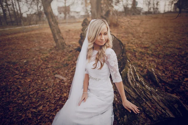 Bride walking in golden autumn nature — Stock Photo, Image