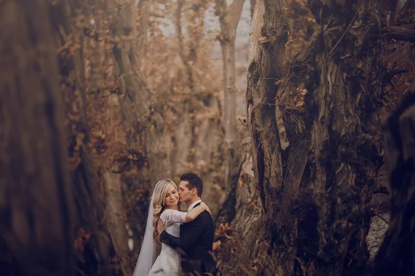 Novia caminando en la naturaleza dorada del otoño — Foto de Stock