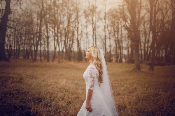 Novia caminando en la naturaleza dorada del otoño — Foto de Stock