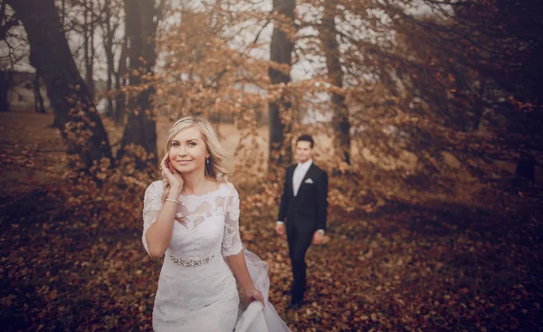 新娘在金色的秋天自然中散步 — 图库照片