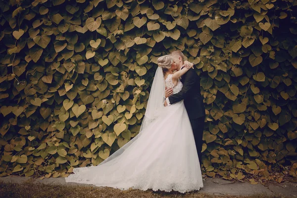 Beautiful blond wedding couple — Stock Photo, Image