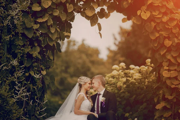 Красива блондинка весільна пара — стокове фото