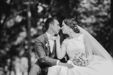 weddind güneş gün