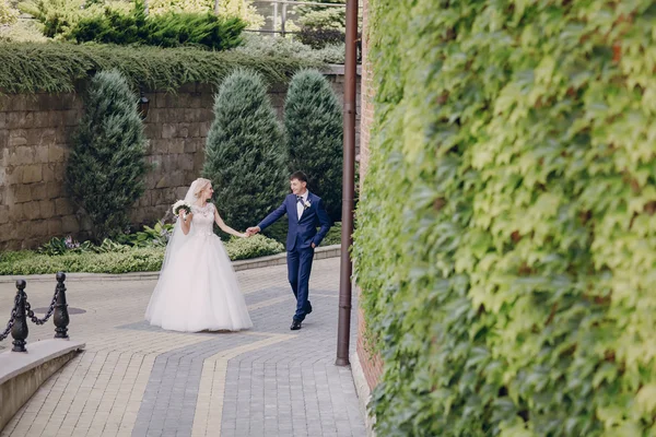 Weddind güneş gün — Stok fotoğraf