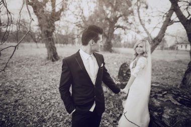 Altın sonbahar doğada yürüyüş gelin