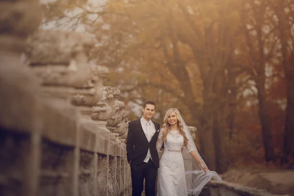 Novia caminando en la naturaleza dorada del otoño —  Fotos de Stock