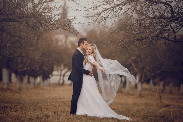 Noiva andando na natureza de outono dourado — Fotografia de Stock