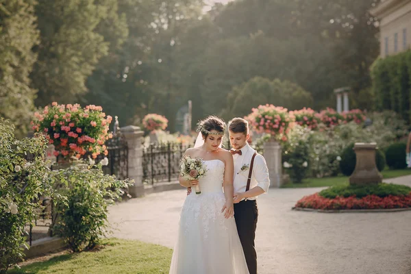 Dzień weddig Hd — Zdjęcie stockowe