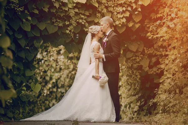 Beautiful blond wedding couple — Stock Photo, Image