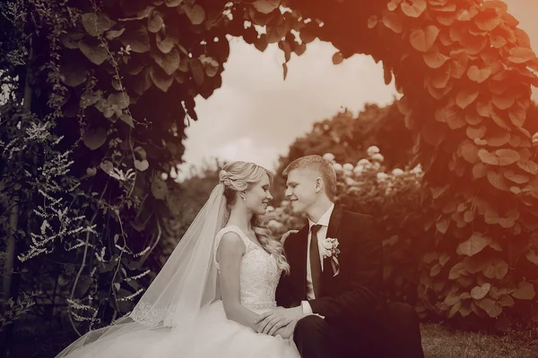 Hermosa pareja de boda rubia —  Fotos de Stock