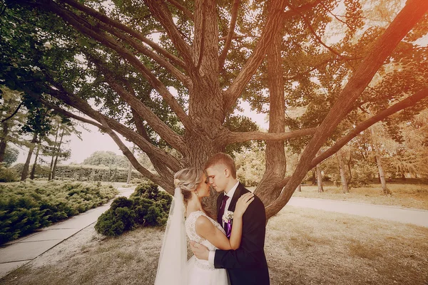 Vacker blond bröllop par — Stockfoto