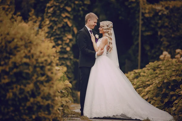 Lindo casal casamento loiro — Fotografia de Stock