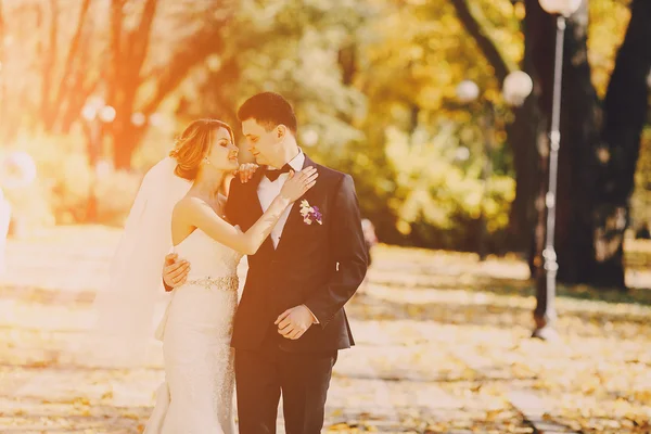 Matrimonio giorno d'estate — Foto Stock