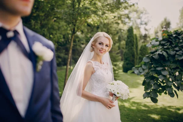 Dia de sol de casamento — Fotografia de Stock