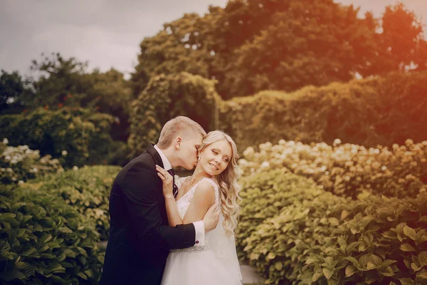 Lindo casal casamento loiro — Fotografia de Stock