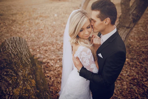 Perfekter Hochzeitstag — Stockfoto