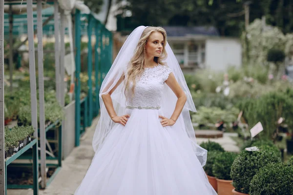 Día de la boda en Odessa — Foto de Stock