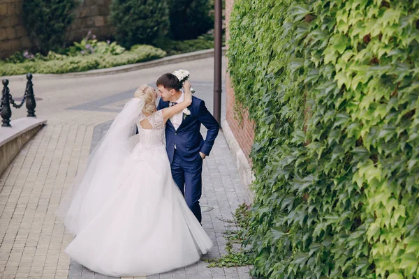 Weddind güneş gün — Stok fotoğraf