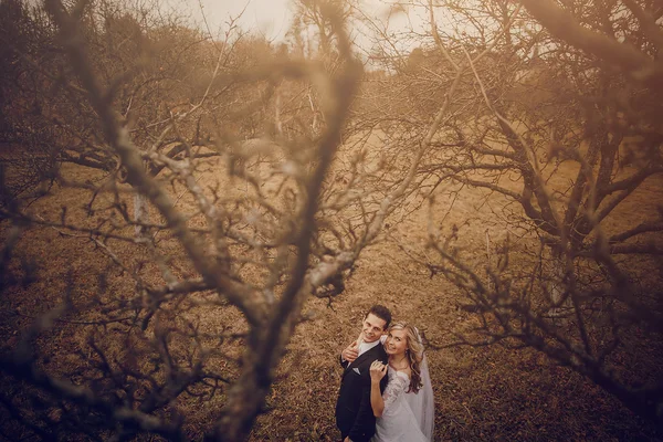 Hochzeitstag — Stockfoto