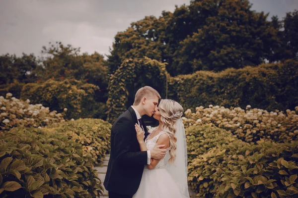 美しい金髪の結婚式のカップル — ストック写真