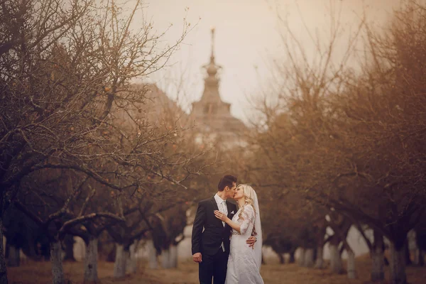 Wedding day HD — Stock Photo, Image