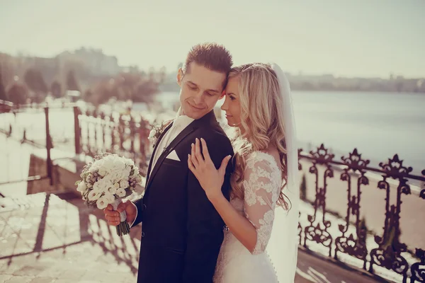 Día de la boda HD — Foto de Stock