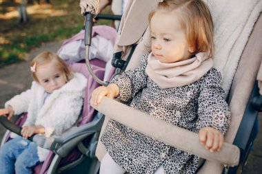 Aile parkta yürüyor.