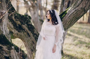 Harika düğün günü