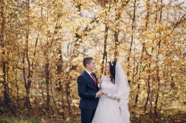 Harika düğün günü