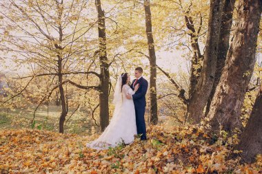 Harika düğün günü