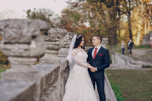 Meraviglioso giorno del matrimonio — Foto Stock