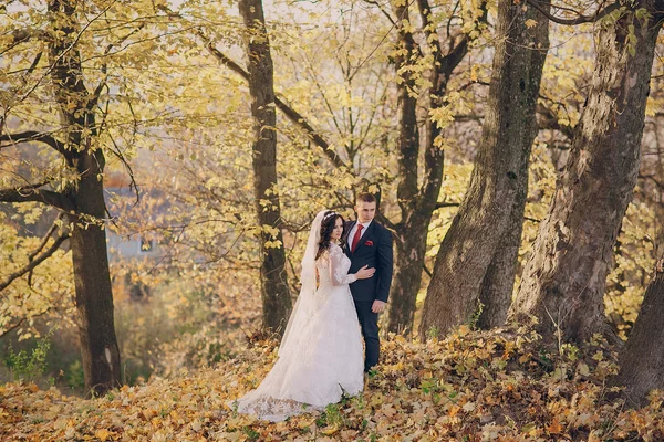 Meraviglioso giorno del matrimonio — Foto Stock