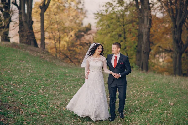 Meraviglioso giorno del matrimonio — Foto Stock